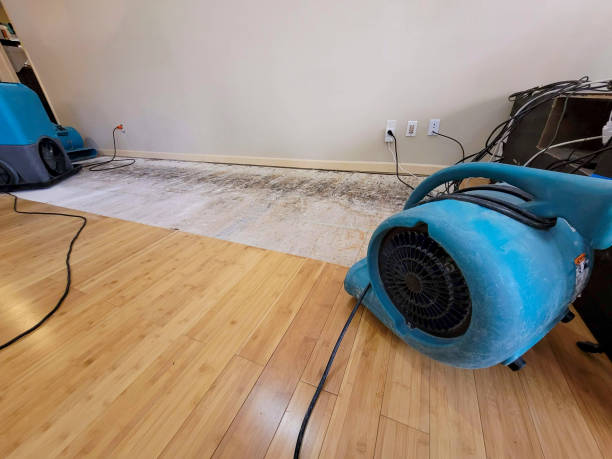 Reliable Basement Flood Cleanup contractor in Maggie Valley, NC by Hirex Water Damage