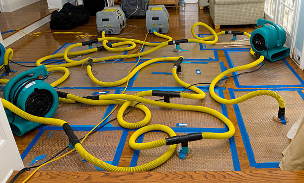 Professional Basement Flood Cleanup technician working in Maggie Valley, NC